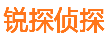 崇文寻人公司